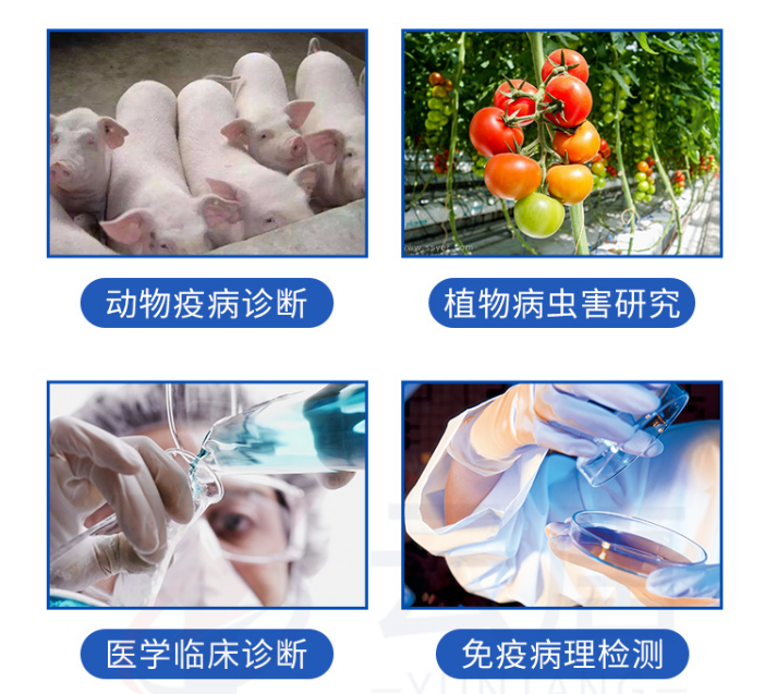 動(dòng)物疫病檢測(cè)儀的檢測(cè)范圍有哪些？