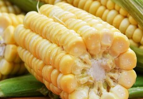 食品重金屬檢測儀 食品重金屬檢測儀