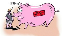 動物疫病診斷的方法有哪些？