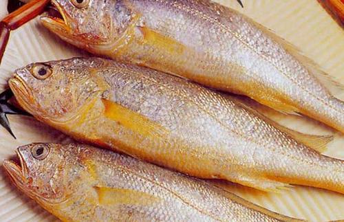 黃花魚中獸藥殘留超標(biāo)怎么看？