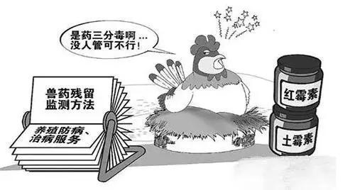 獸藥殘留超標新聞依然不斷，3種獸藥再次被禁止使用于動物中