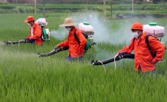 農(nóng)藥殘留檢測儀檢測速度快嗎？