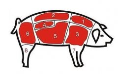 病害肉檢測儀讓老百姓吃上放心肉！