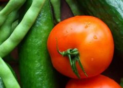 配備食品安全檢測儀有何必要性？