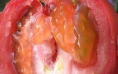 農(nóng)殘快速檢測(cè)儀如何做到保障農(nóng)產(chǎn)品安全的？